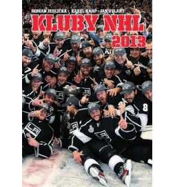 Kluby NHL 2013