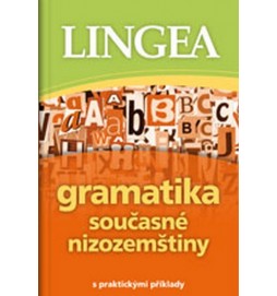 Gramatika současné nizozemštiny s praktickými příklady