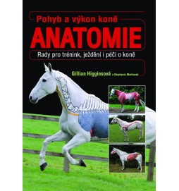 Pohyb a výkon koně - Anatomie