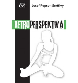 Retroperspektiva