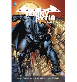 Batman: Temný rytíř 1 - Temné děsy