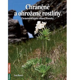 Chráněné a ohrožené rostliny - Chráněná krajinná oblast Jeseníky