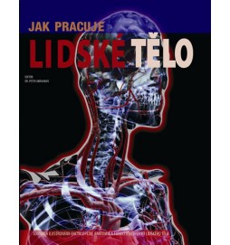 Jak pracuje lidské tělo