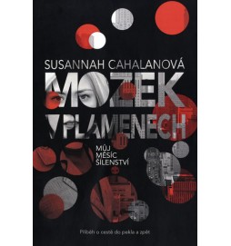 Mozek v plamenech - Můj měsíc šílenství