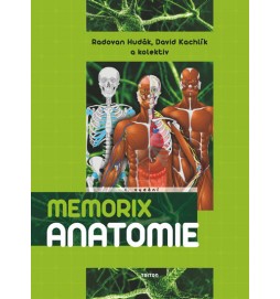 Memorix anatomie