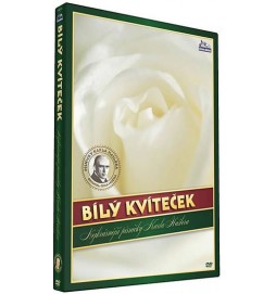 Hašlerky - Bílý kvíteček - DVD