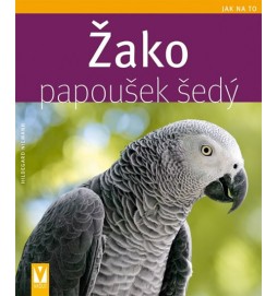 Žako papoušek šedý - Jak na to