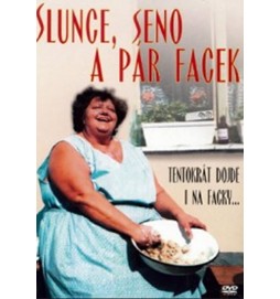 Slunce, seno a pár facek - DVD