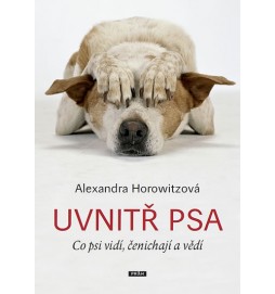 Uvnitř psa - Co psi vidí, čenichají a vědí