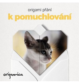 Origami přání - Miluji kočky (kotě)