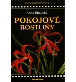 Pokojové rostliny