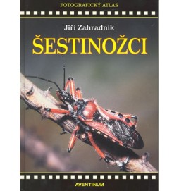 Šestinožci