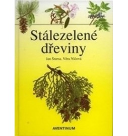 Stálezelené dřeviny