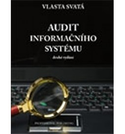 Audit informačního systému