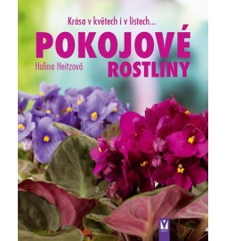 Pokojové rostliny - Krása v květech i v listech...