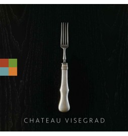 Chateau Visegrad