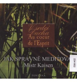 Jak správně meditovat - CD