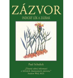 Zázvor - Indický lék a  zázrak