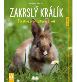 Zakrslý králík - Jak na to