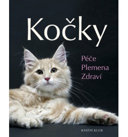 Kočky