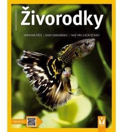 Živorodky - Jak na to