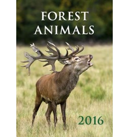 Kalendář nástěnný 2016 - Forest Animals