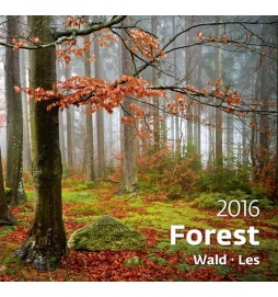 Kalendář nástěnný 2016 - Les - Forest