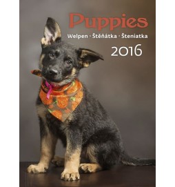 Kalendář nástěnný 2016 - Štěňátka - Puppies