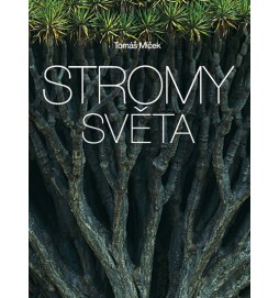 Stromy světa