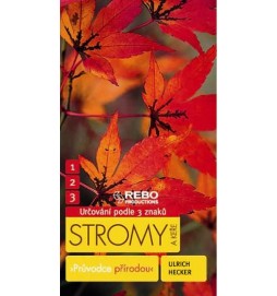 Stromy a keře - Průvodce přírodou