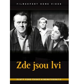 Zde jsou lvi - DVD box