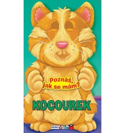 Kocourek - Poznáš, jak se mám?