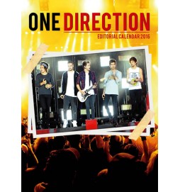 Kalendář nástěnný 2016 - ONE DIRECTION