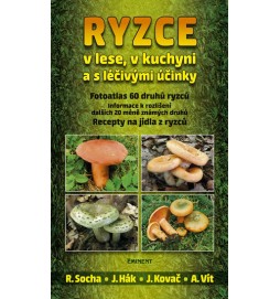 Ryzce v lese, v kuchyni a s léčivými účinky