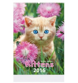 Kalendář nástěný 2016 - KITTENS