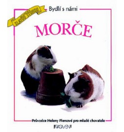 Morče