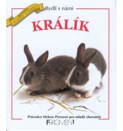 Králík