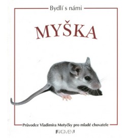 Myška