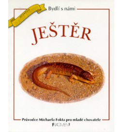 Ještěr